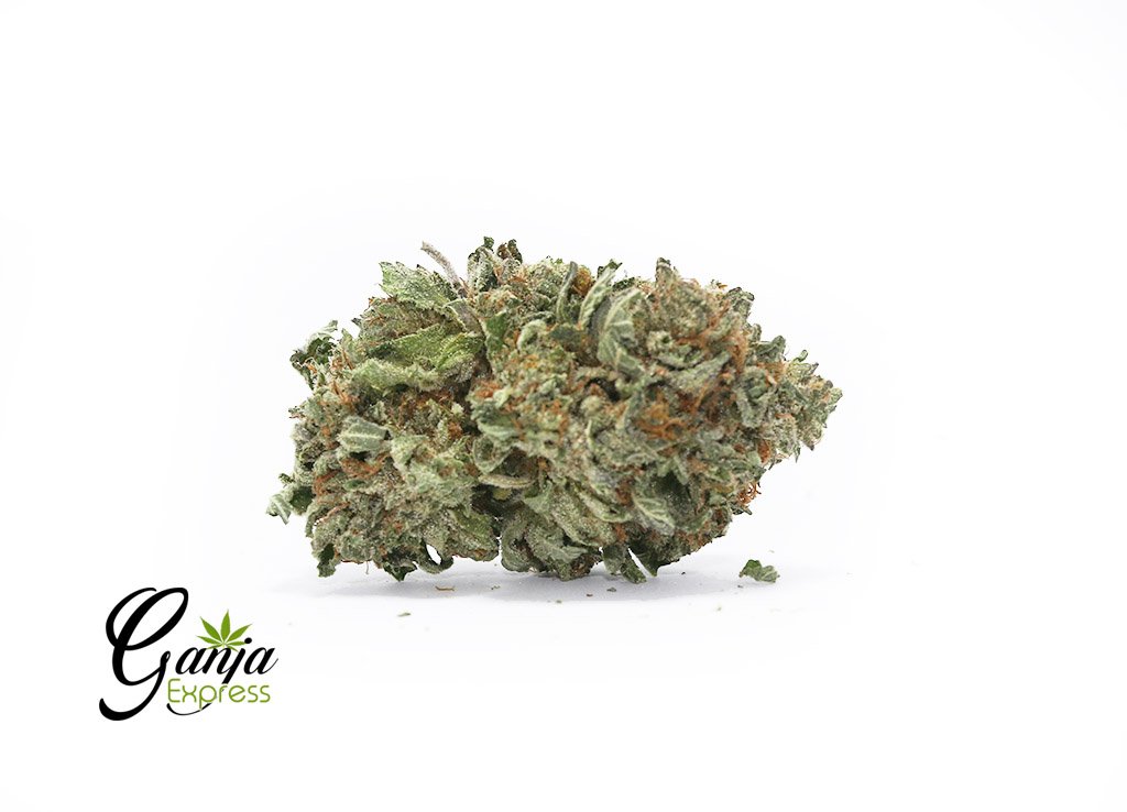 Master Kush #2 (Bulk)