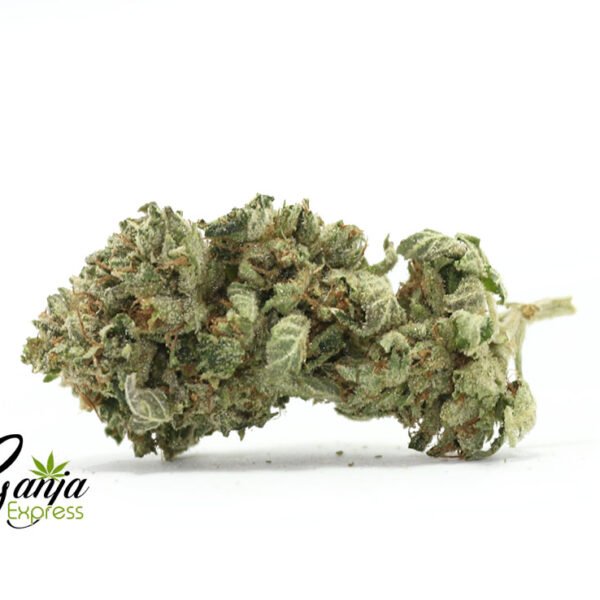 OG Wreck #2
