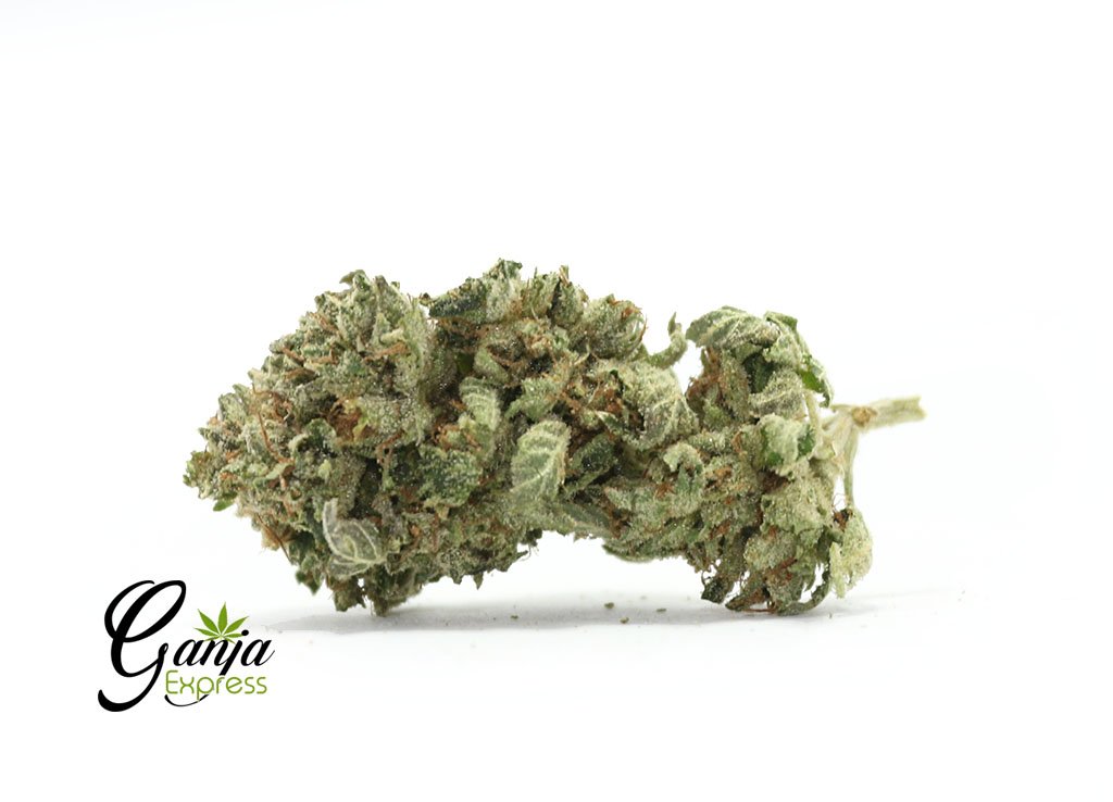 OG Wreck #2