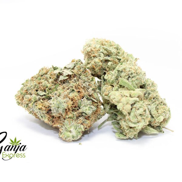 Peppermint (BULK)