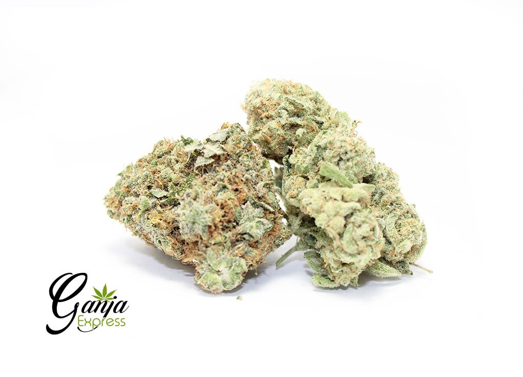 Peppermint (BULK)