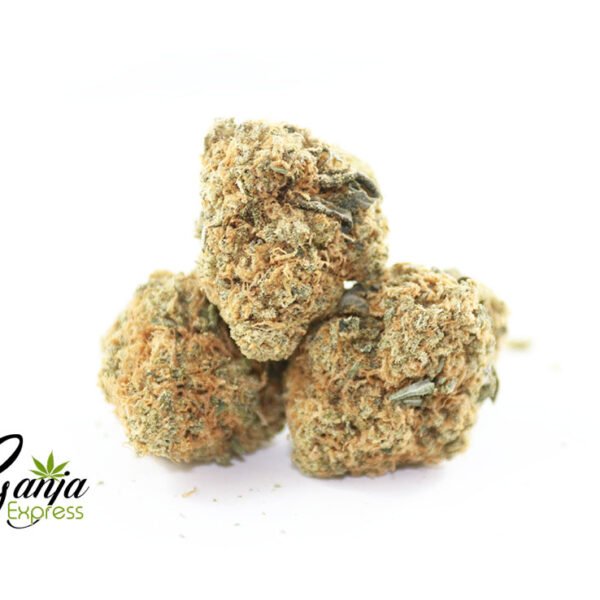 Pumpkin Kush