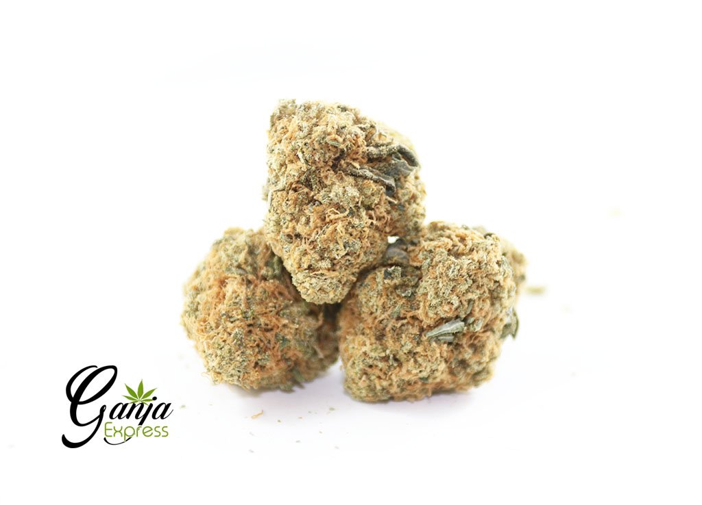 Pumpkin Kush