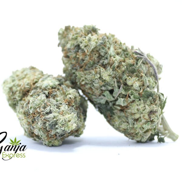 Purple Buddha