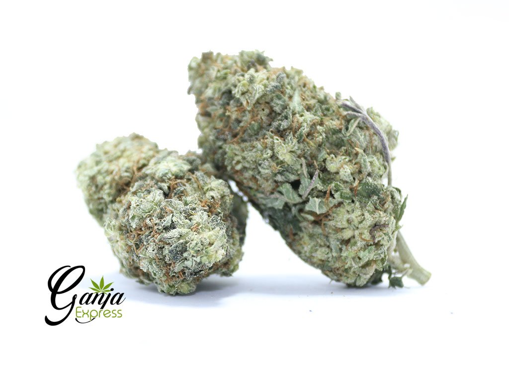 Purple Buddha