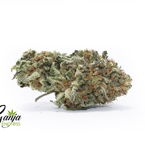 Cadillac Purple (Bulk)