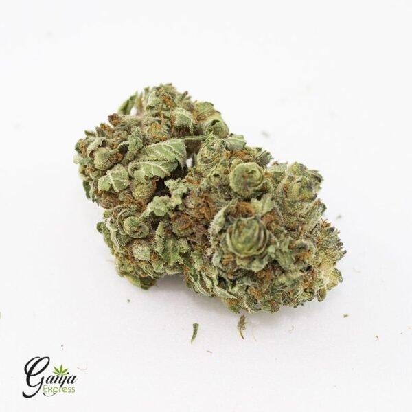 Purple Berry (Bulk)