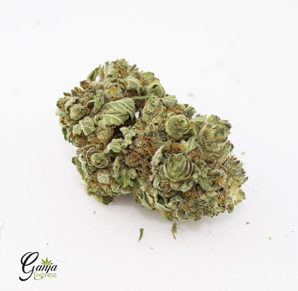Purple Berry (Bulk)