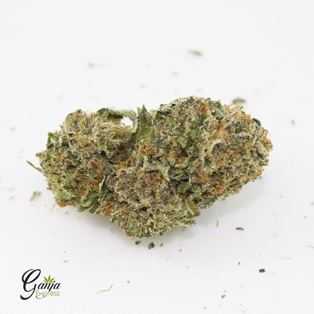 Purple Kush