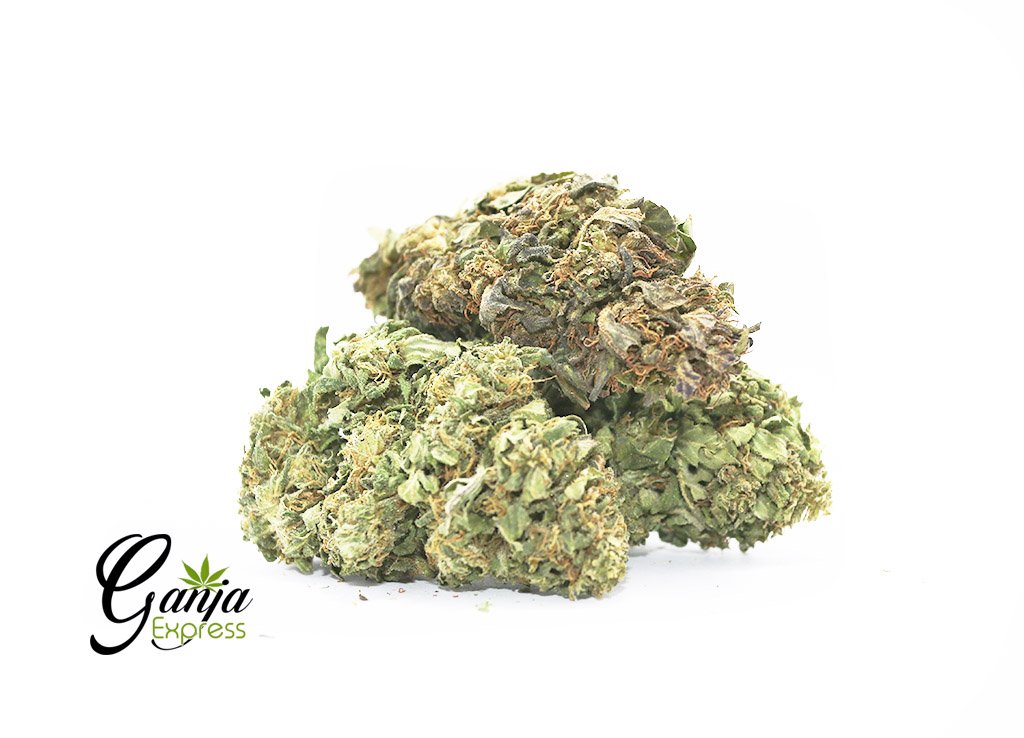 Purple Thai