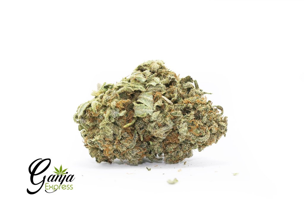Red Diesel
