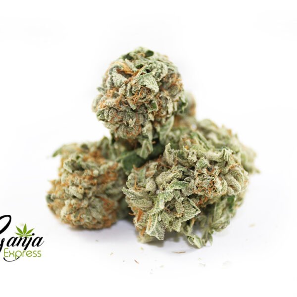 $149 Oz – Shishkaberry Winter Special