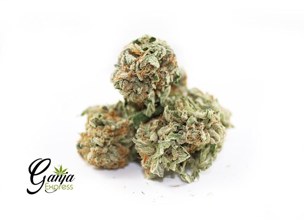 $149 Oz – Shishkaberry Winter Special