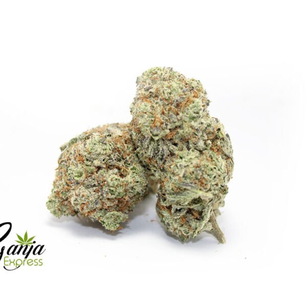 Tora Bora (Bulk)