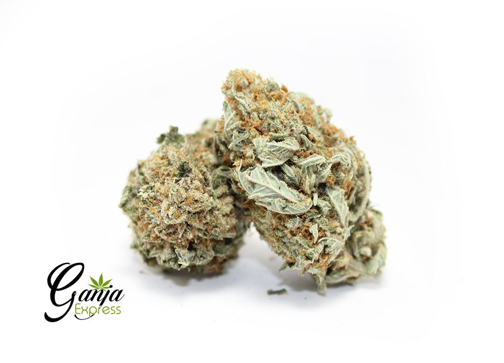 Venom OG (Bulk)