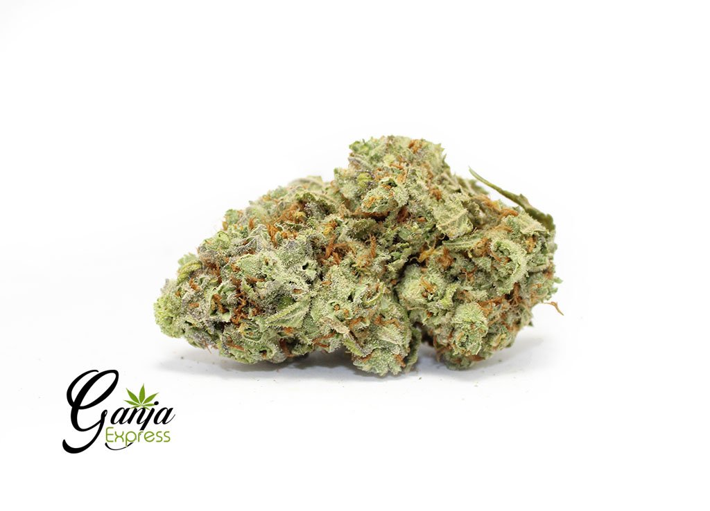 White Cookies (Bulk)