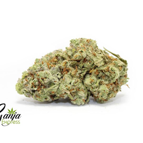 White Cookies (Bulk)