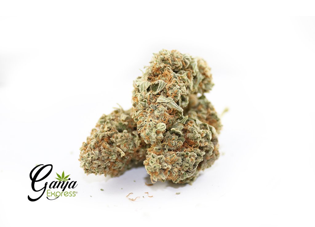 $149 Oz – Wild Rockstar
